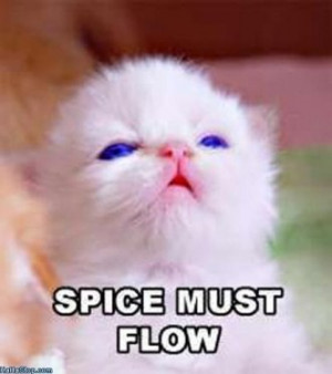 Даша из Владивостока