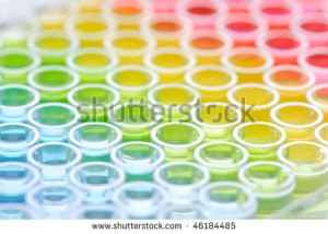 biomedical research: close up of Enzyme-linked Immunospot Assay plate ...