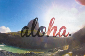 waves ocean hawaii Aloha surf life