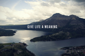 Give Life A Meaning Quotes