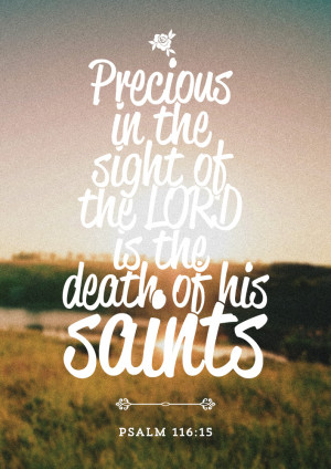 2014 The Wooden Tree