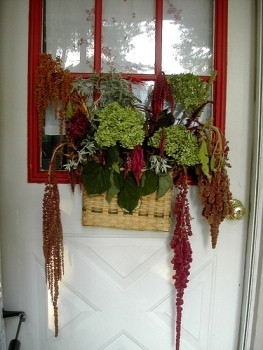 Image of Love Lies Bleeding in a windowbox, by la fattina