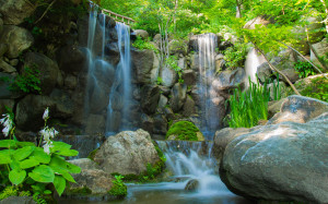 river waterfall rocks plants trees nature wallpaper background