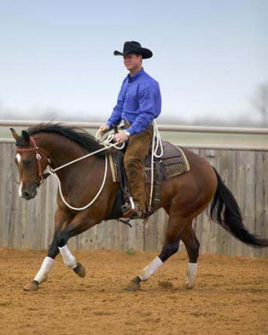 cox_chris_cantering