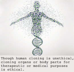 Real Cloning Gone Wrong