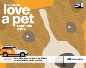 Ford Focus With Mpg The All