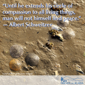 Until he extends his circle of compassion to all living things, man ...