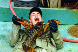 Where the heck is the black market for lobsters?