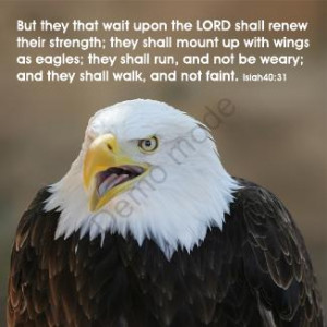 shall renew their strength; they shall mount up with wings as eagles ...