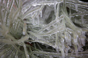 Related Pictures funny snow quotes funny snow storm pictures