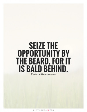 Seize the opportunity by the beard, for it is bald behind Picture ...