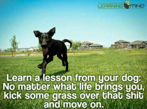 quotes knowledge spirituality wisdom life inspirational motivational ...