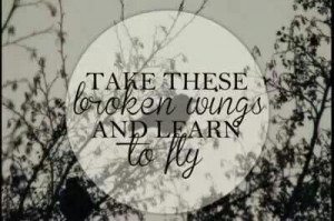 Take these broken wings and learn to fly