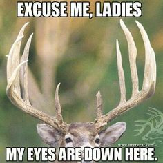 Funny Pictures, Funny Friday, Country Girls, Hunting, Nice Racks ...