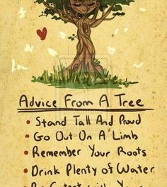 Wisdom Quotes about Life from Tree: Advice from a tree: Stand tall and ...