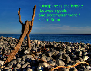 Discipline is the bridge - famous quote