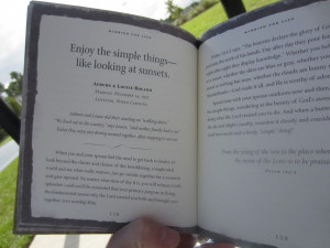 housewifeglamour.comBirthday Picnic | Housewife Glamour