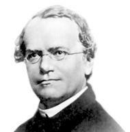 Gregor Mendel Quotes Picture