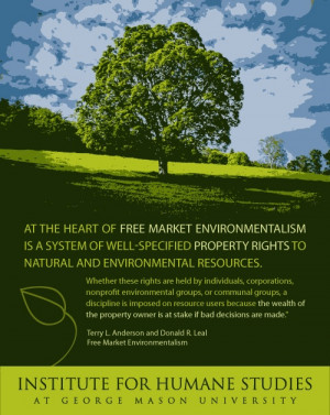 Free Markets and the Environment