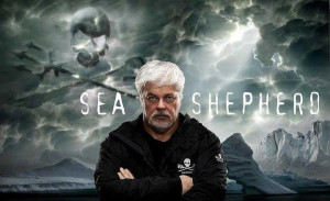 Paul Watson: For 35 years, Captain Paul Watson was at the helm of the ...
