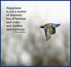 Bluebird_of_Happiness_A_Little_Piece_of_Me_Blog_birds_birding ...