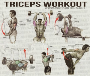 Fitness Workout Sixpack Back Calves - FITNESS HASHTAG: Fit Workout ...