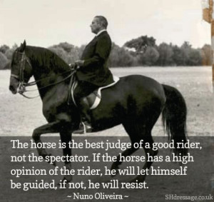 The #horse is the best judge of a good rider.