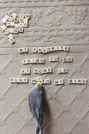 My favorite thing to do at home is play with my bird from Julia Okun's ...
