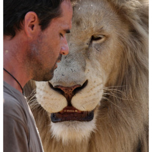 The Lion Whisperer: Kevin Richardson plays with white lions at a game ...