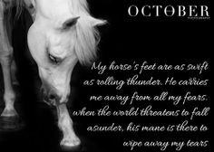 For the love of the horse #arabian #horse #grey #arab #quote #love # ...