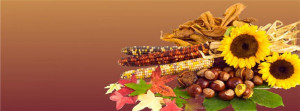 Thanksgiving Harvest Facebook Cover