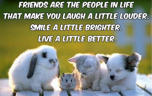 ... People In Life That Make You Laugh A Little Louder ~ Friendship Quote