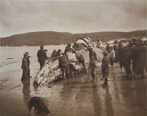 Makah whalers, circa 1910.