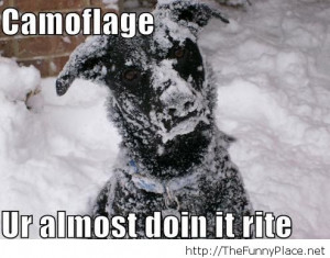 funny-photos-funny-pics-funny-sayings-funny-sayings-and-quotes-Favim ...