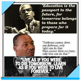 Similarities and Differences