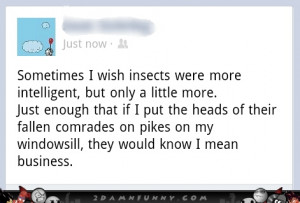 What If Insects Were More Intelligent
