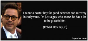 poster boy for good behavior and recovery in Hollywood, I'm just a guy ...