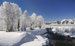 Beautiful Winter Wallpapers | Beauty of Winter season | Nature ...