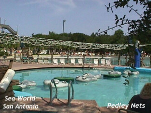 Funny Quotes Contact Us DMCA Notice