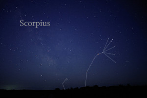 The constellation Scorpius as it can be seen by naked eye (with ...