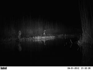 Rodney Carrington Quotes