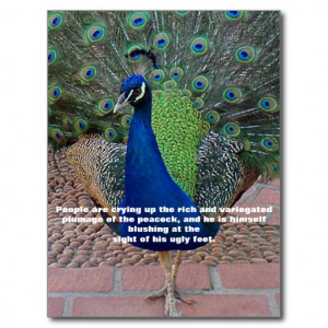 Peacock Quote Postcard