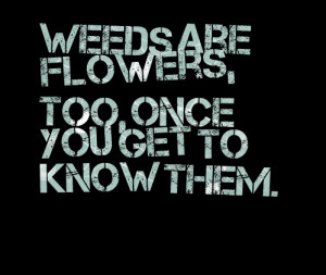 Quotes Picture: weeds are flowers, too, once you get to know them