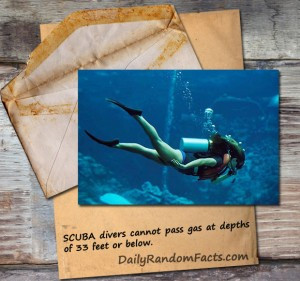 Random Facts- Scuba diver passing gas
