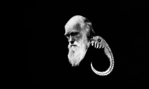 Charles Darwin Quotes God