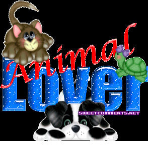 ... blog a href http www sweetcomments net picture animals animal love