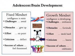 mindset for parents brainology research article books with mindset ...