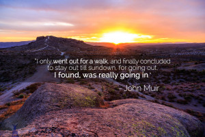 john muir quote