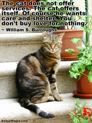 Quotes About Animal Shelters