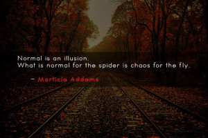 Normal is an illusion. What is normal for the spider is chaos for the ...